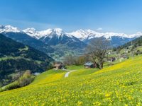Frühling in den Alpen