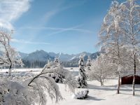 Winter+Schneelandschaft