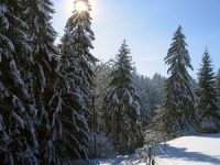 Winter+Schneelandschaft+1